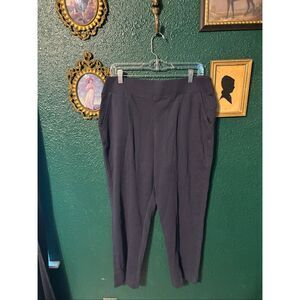 Pact 100% Organic Cotton Blue Sweatpants Sz Large